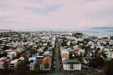 Visite à pied d’une heure de Reykjavik avec un local
